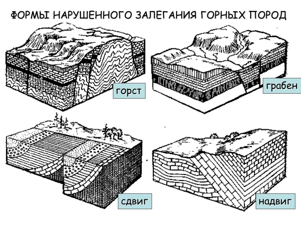 горст грабен сдвиг надвиг ФОРМЫ НАРУШЕННОГО ЗАЛЕГАНИЯ ГОРНЫХ ПОРОД